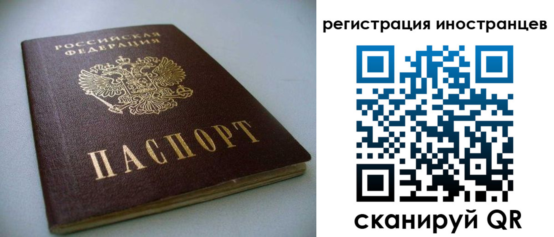 пропишу в квартире в Воронежской области