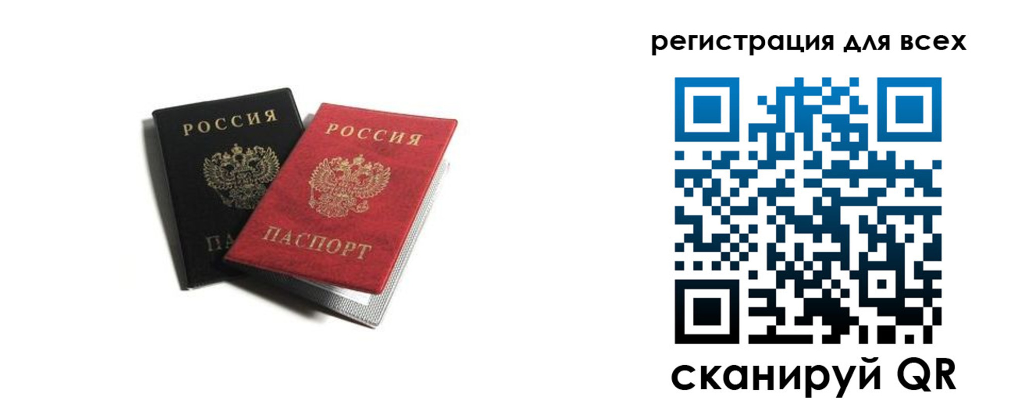 прописка гарантия в Воронежской области